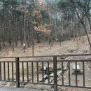 생활양재 초급 | [서울 둘레길] 둘레길 10코스(중급 코스) 1시간 10분 완주 후기