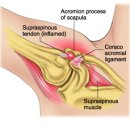 함께 선수 & 퍼스널 트레이닝 이미지