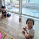 선우두돐 이미지