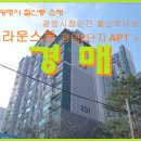 광명2 Daum카페