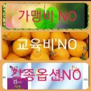 사랑 HAIR