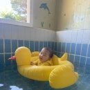 경주 별빛키즈 애견 풀빌라 이미지