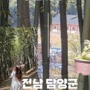 마이스토리돌