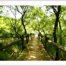 충청도양반길(2코스) 이미지