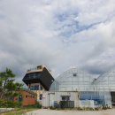 두월농장 이미지