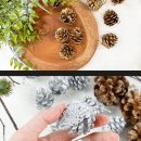 디자인트리 - 상주시 상산로 70 | 디자인트리