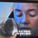 보림건설(주) - 정읍시 충정로 424 | 12월 일상 | 세상에서 가장 무해하고 귀여운 생명체를 만나다