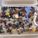 놀부떡집 - 순천시 삼산로 92-40 | 놀부떡집