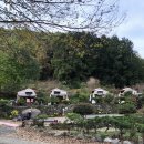 돌담캠핑장 이미지