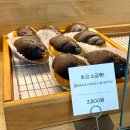 속초 빵지순례 소금빵맛집 등대해수욕장 히응커피 솔직후기