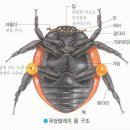 과천시 자연생태 전시 체험전 이미지