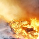 고온환경자원 이미지