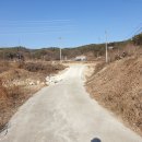 우곡천 Daum카페