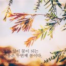 조관우-모래성 이미지