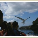 한섬여행사 이미지