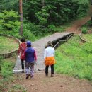 섬진강 둘레길 이미지