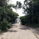 강정동-6 이미지