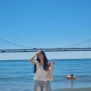 이뿌고이뿌개 | 아스팔트 온도 50'