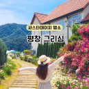 카페 그리심 육백마지기보다 좋았던 평창데이지명소