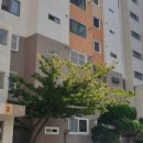 하단동010 이미지