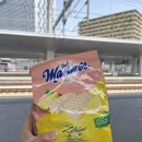 🇭🇺[Budapest] 야경이 전부가 아니야