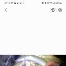 청정장어 이미지