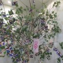 2019년7월15일 선정국제관광고등학교 청년여성취업지원 행사진행 이미지