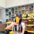 프루커피 | 전포에서 가장 싱그러운 공간? 전포 과일 카페 프루토프루타 방문 후기