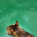 배브라더스골프 이미지