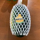 아어가지 이미지