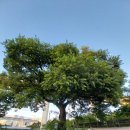 왕버들공원화장실 이미지