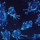 럭쎌한의원 이미지