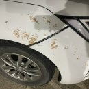 늘푸른자동차공업사 이미지