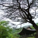 문경에 가면 입맛이 돈다, 문경 삼시세끼 이미지