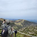 스타빌 | [제주 2박3일 여행]제주도 한라산 관음사코스 정상 등반 후기 + 제주스타빌 방문까지 완벽 코스