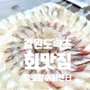 속초 신선하고 맛있는회를 먹고싶다면 청호활어회센터 추천