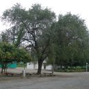 어유중학교 이미지