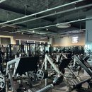 PURE GYM | 🎉 청라헬스장 머슬피플 새 기구 입고! GYM80으로 더 강력해진 머슬피플 💪