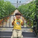 은진농장 이미지