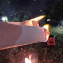 조안1리 이미지