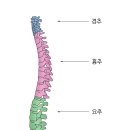 더영 이미지