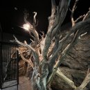 (주)이프월드 이미지