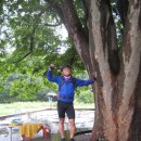 남종면 분원리 100 이미지