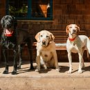 초봉농장 이미지