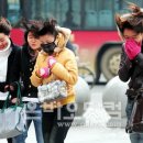 오나민박 이미지