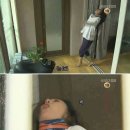 시랑 이미지