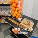 오렌지트리(Orange tree) 이미지
