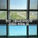 이름없는과일가게그랑시티자이2차 | 안산 유리창 청소 그랑시티자이 아파트 창문 외창 청소 업체 비용 추천 후기