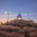 제주허브동산 이미지