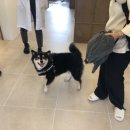 소호한의원 이미지